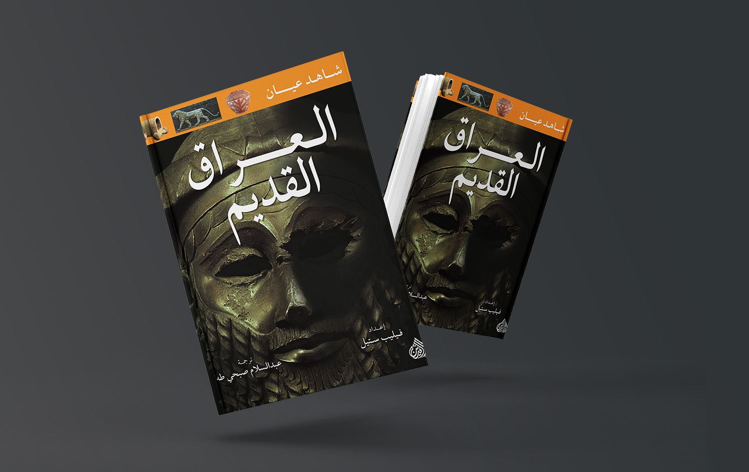 معد فياض